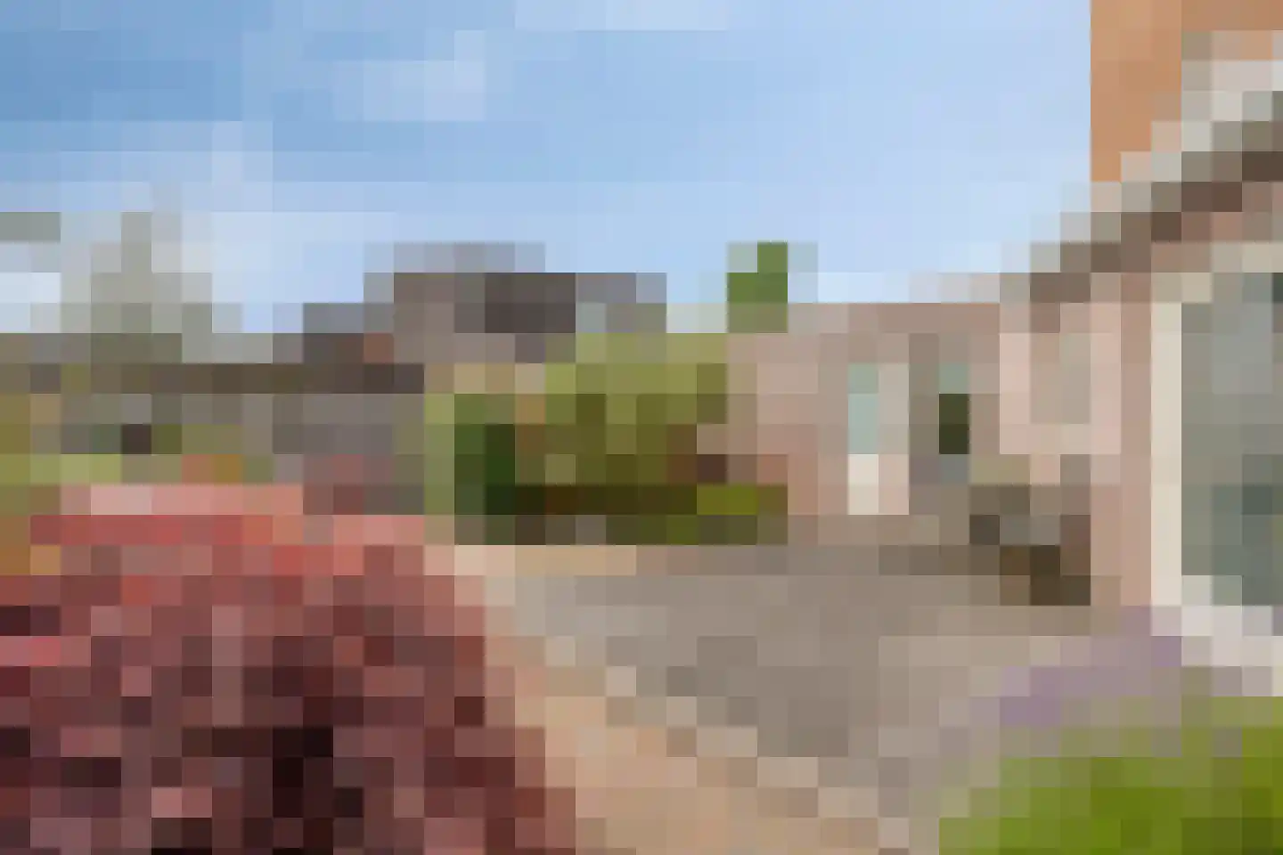 Dallepad 1 Zuidbroek thumbnail 31