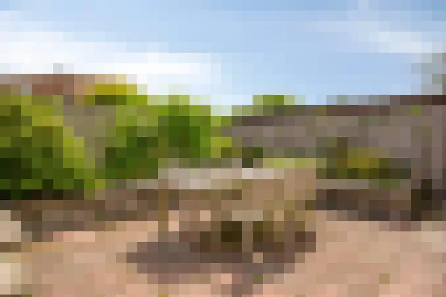 Dallepad 1 Zuidbroek thumbnail 33