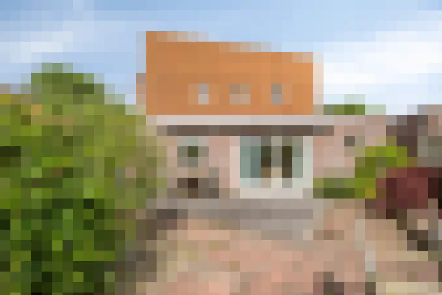 Dallepad 1 Zuidbroek thumbnail 36
