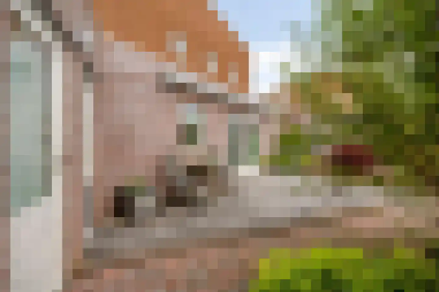 Dallepad 1 Zuidbroek thumbnail 38
