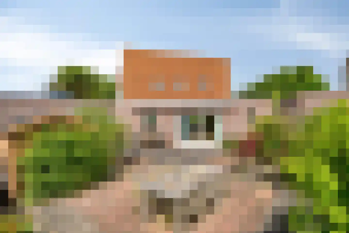 Dallepad 1 Zuidbroek thumbnail 39
