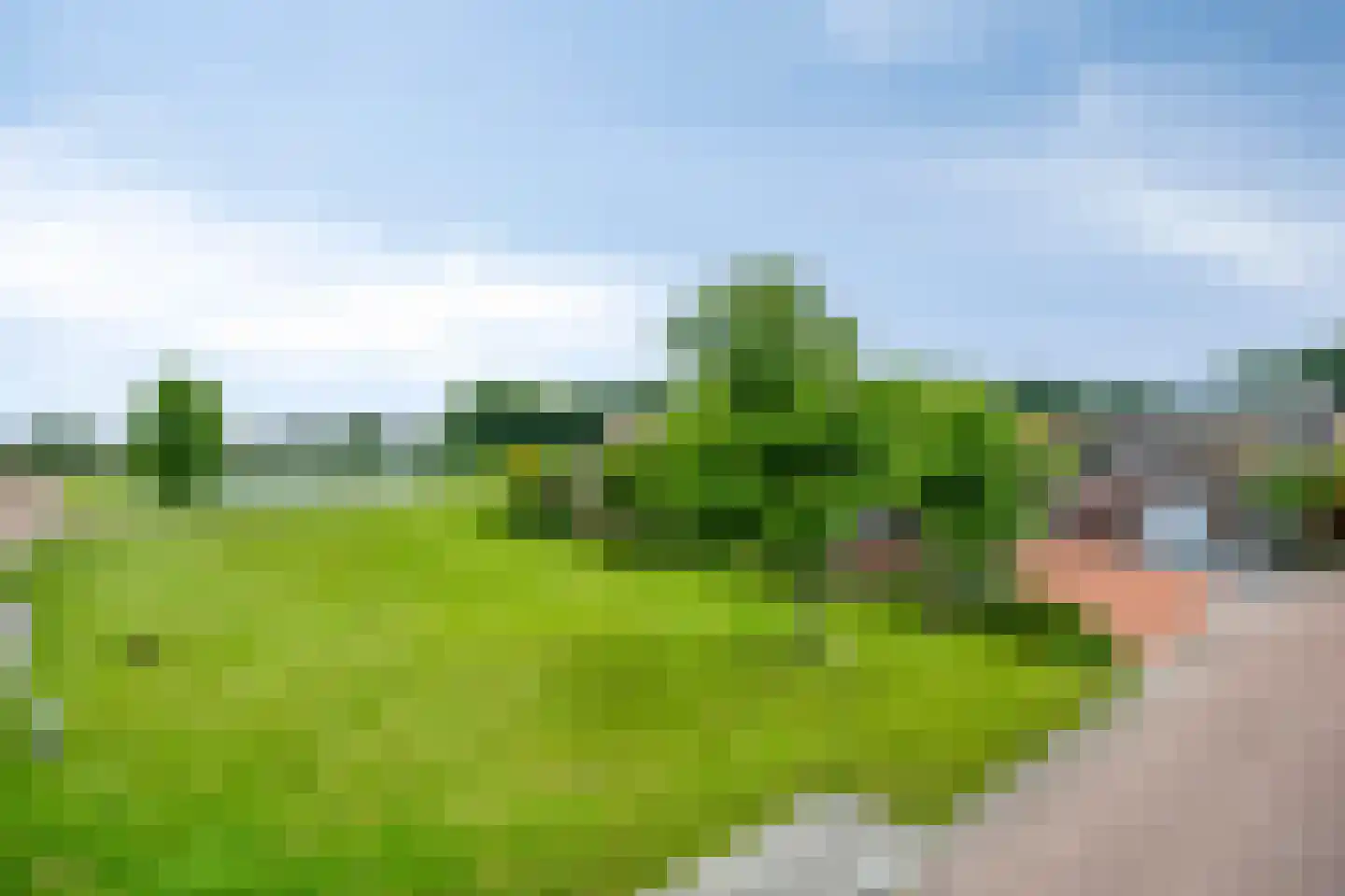 Dallepad 1 Zuidbroek thumbnail 42