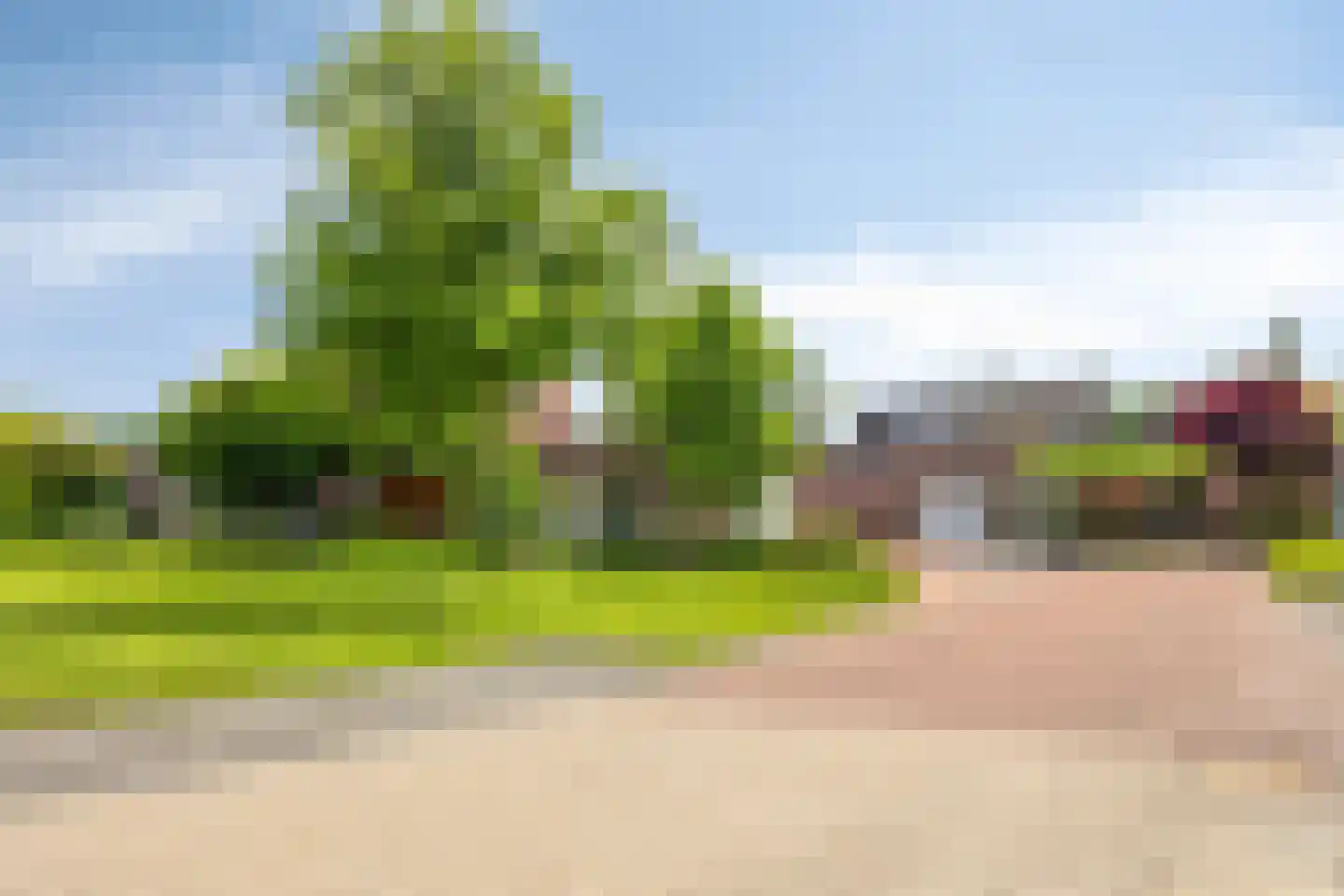 Dallepad 1 Zuidbroek thumbnail 43