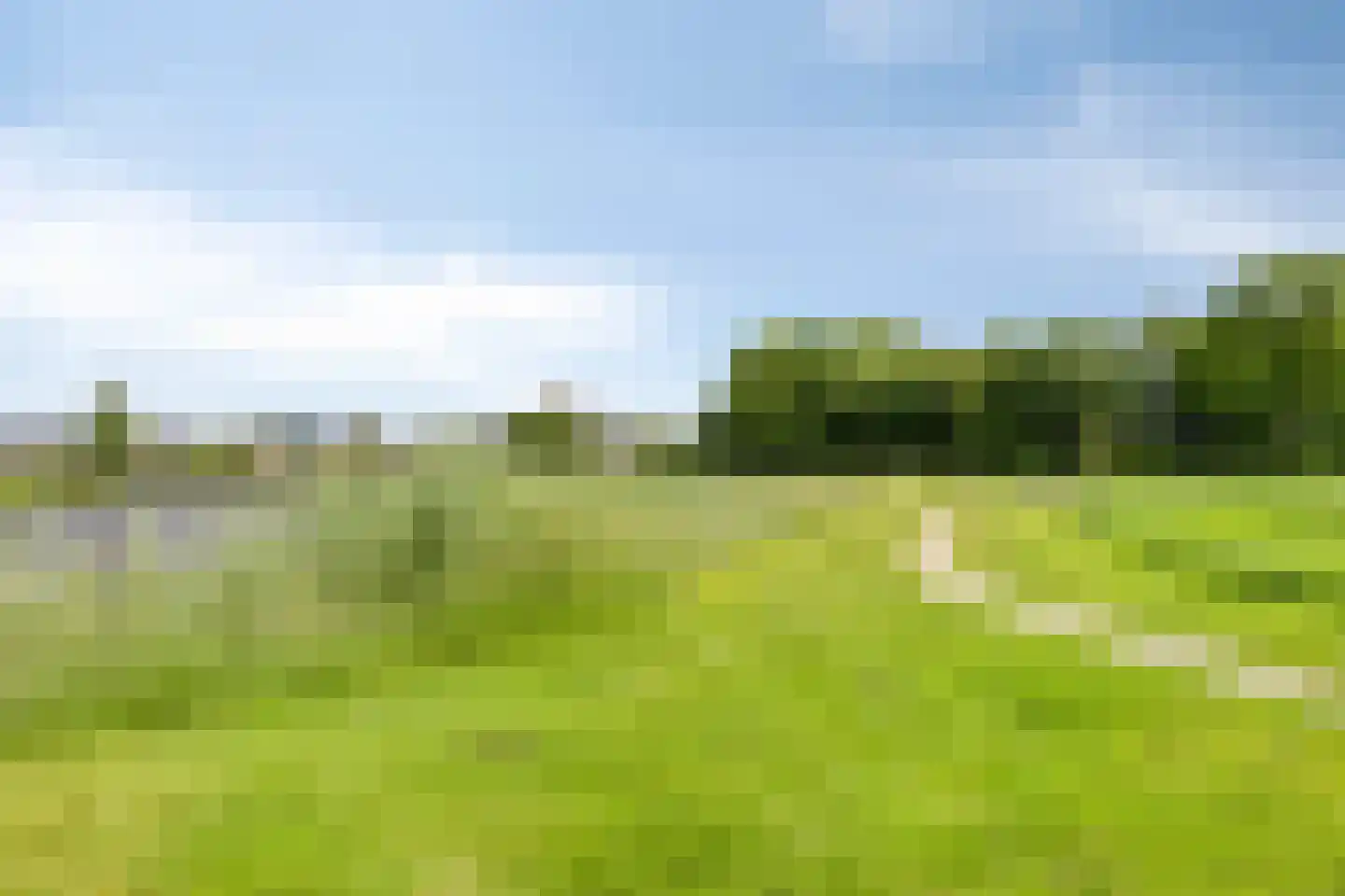 Dallepad 1 Zuidbroek thumbnail 47