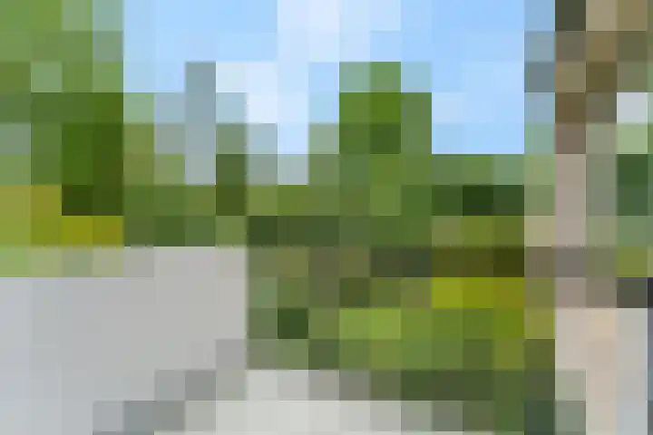 Dalmatië 78 Leusden thumbnail 7