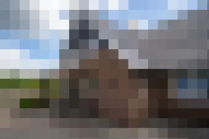 Dalmedenweg 2 A Hengelo thumbnail 11