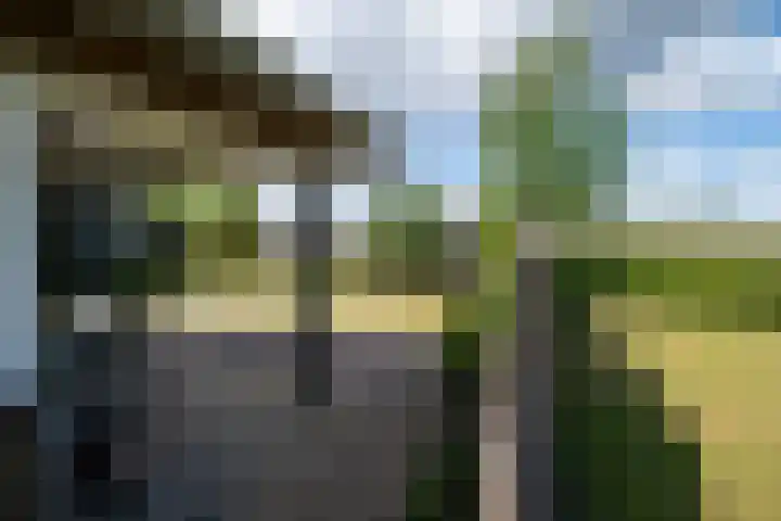 Dalmedenweg 2 A Hengelo thumbnail 55