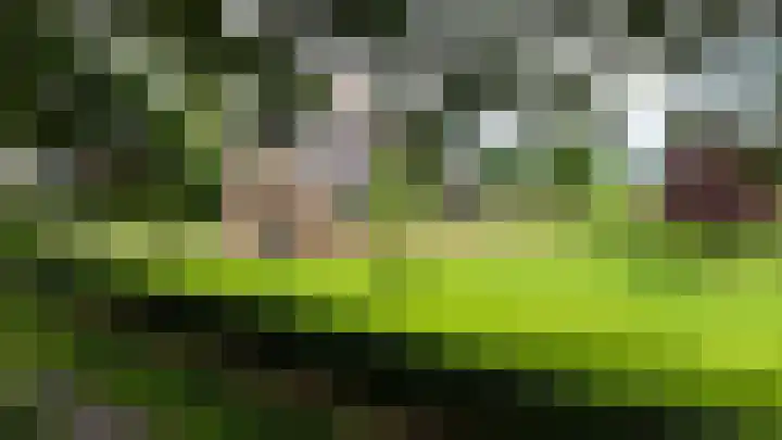 Dalmedenweg 2 A Hengelo thumbnail 6