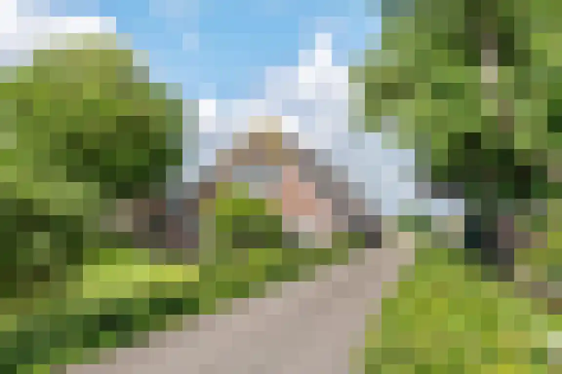 Dalmsholterweg 8 Dalfsen thumbnail 6