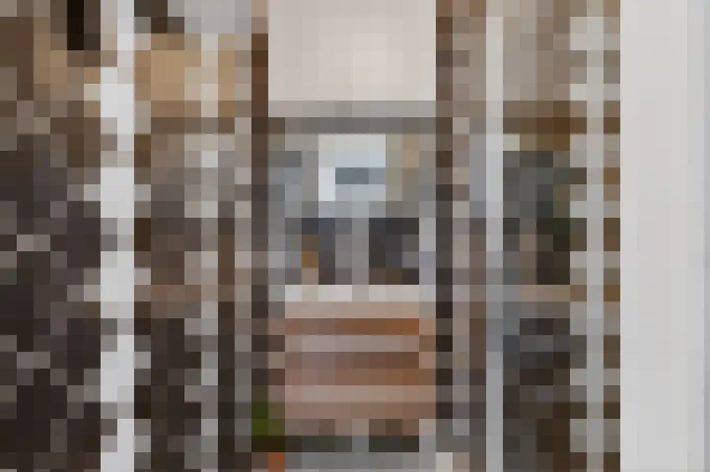 Dalsteindreef 254 Amsterdam thumbnail 17