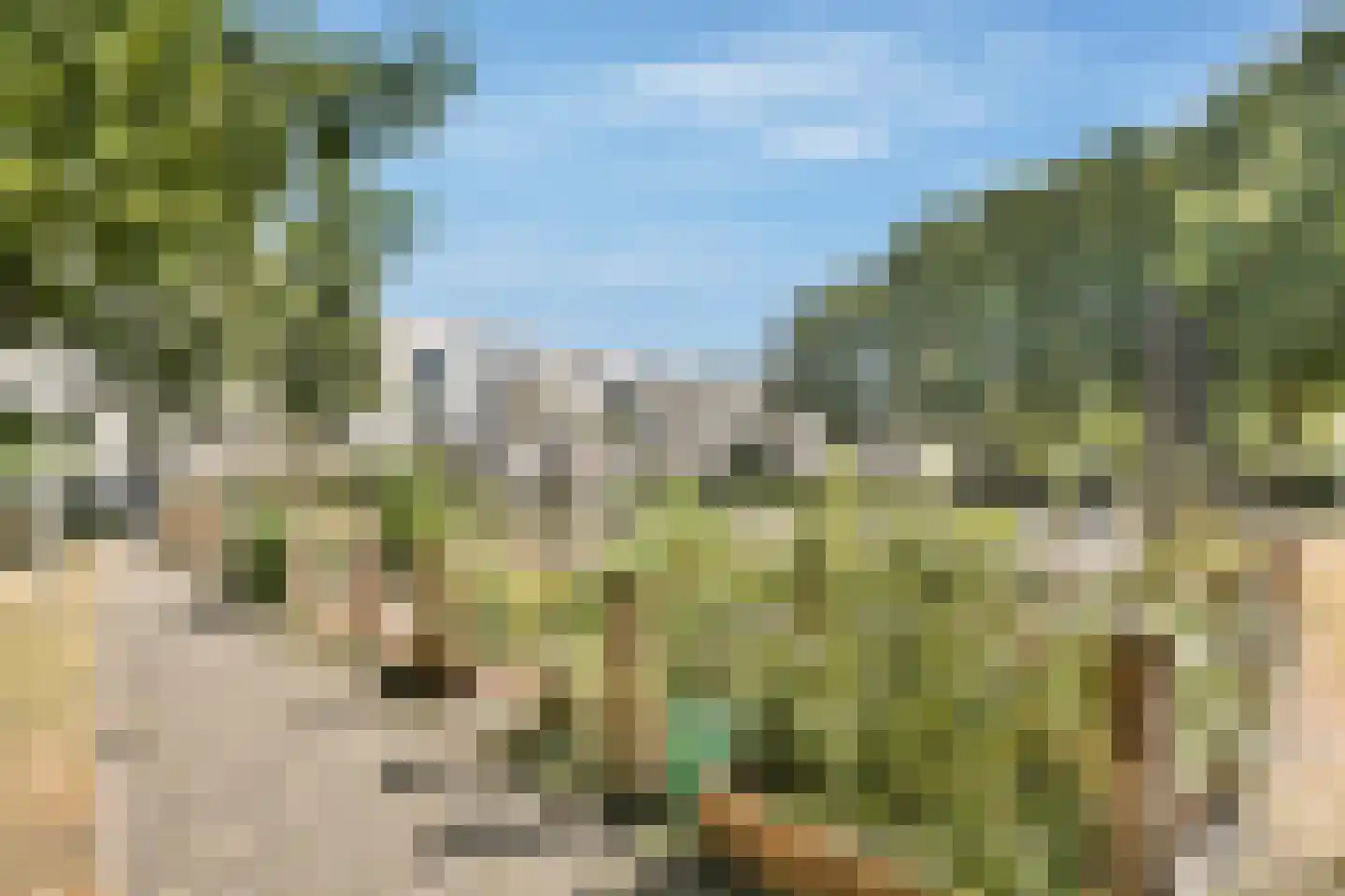 Dalsteindreef 364 Amsterdam thumbnail 16