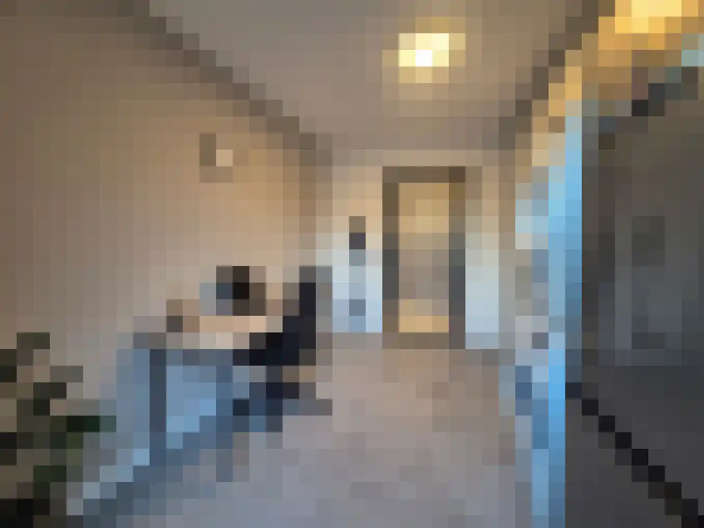 Dalstraat 1 Limbricht thumbnail 13