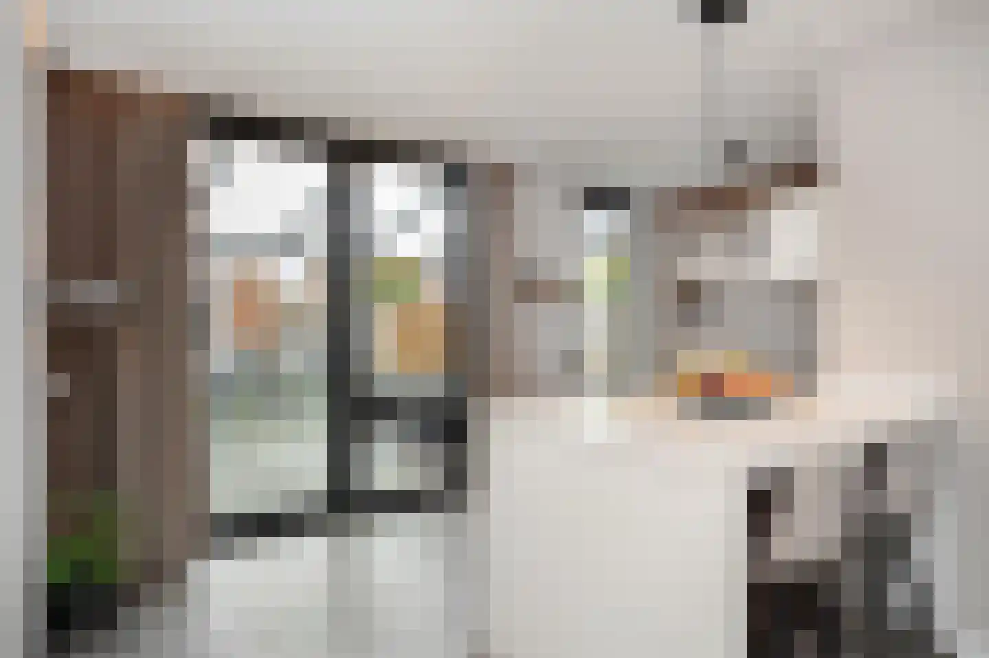 Dalstraat 1 Limbricht thumbnail 34