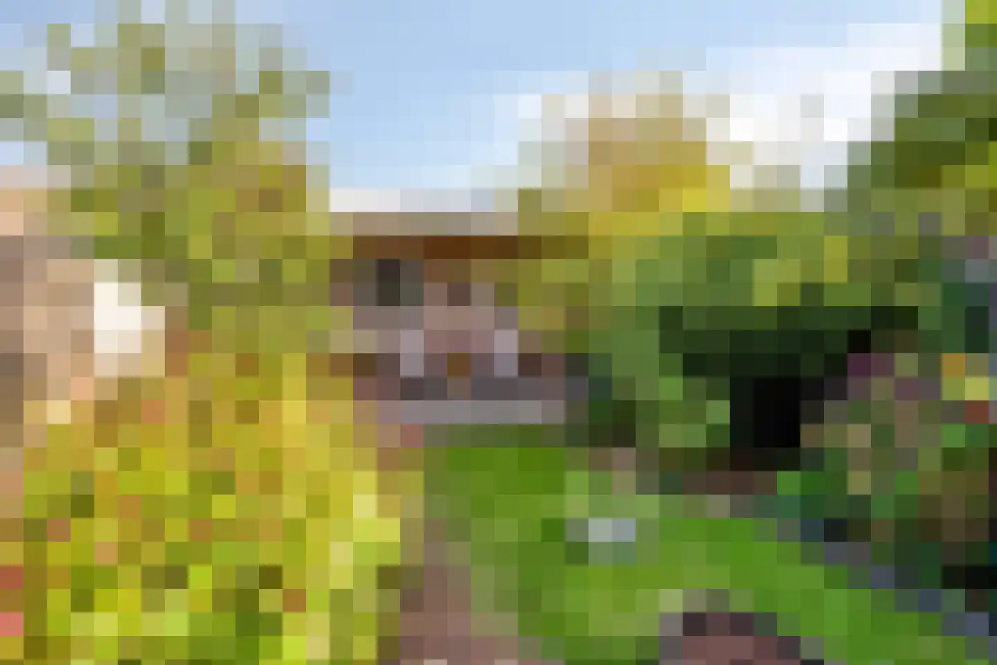 Dalstraat 12 Valkenswaard thumbnail 25