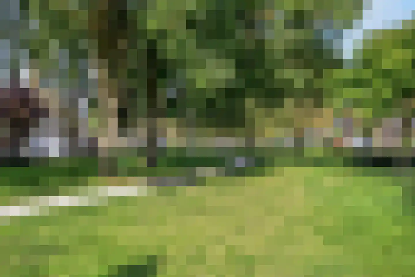 Dalstraat 12 Valkenswaard thumbnail 31