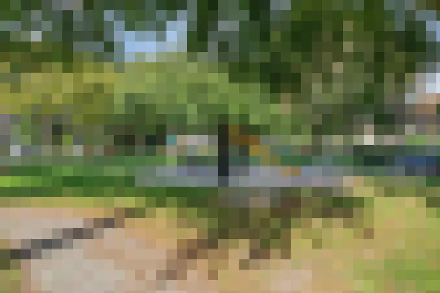 Dalstraat 12 Valkenswaard thumbnail 33