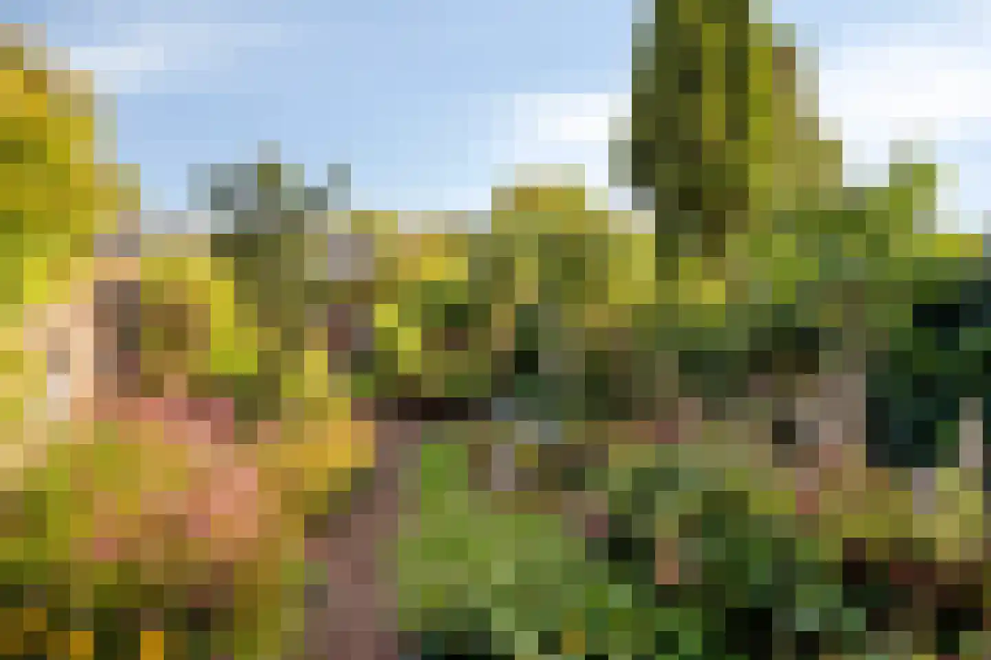 Dalstraat 12 Valkenswaard thumbnail 5