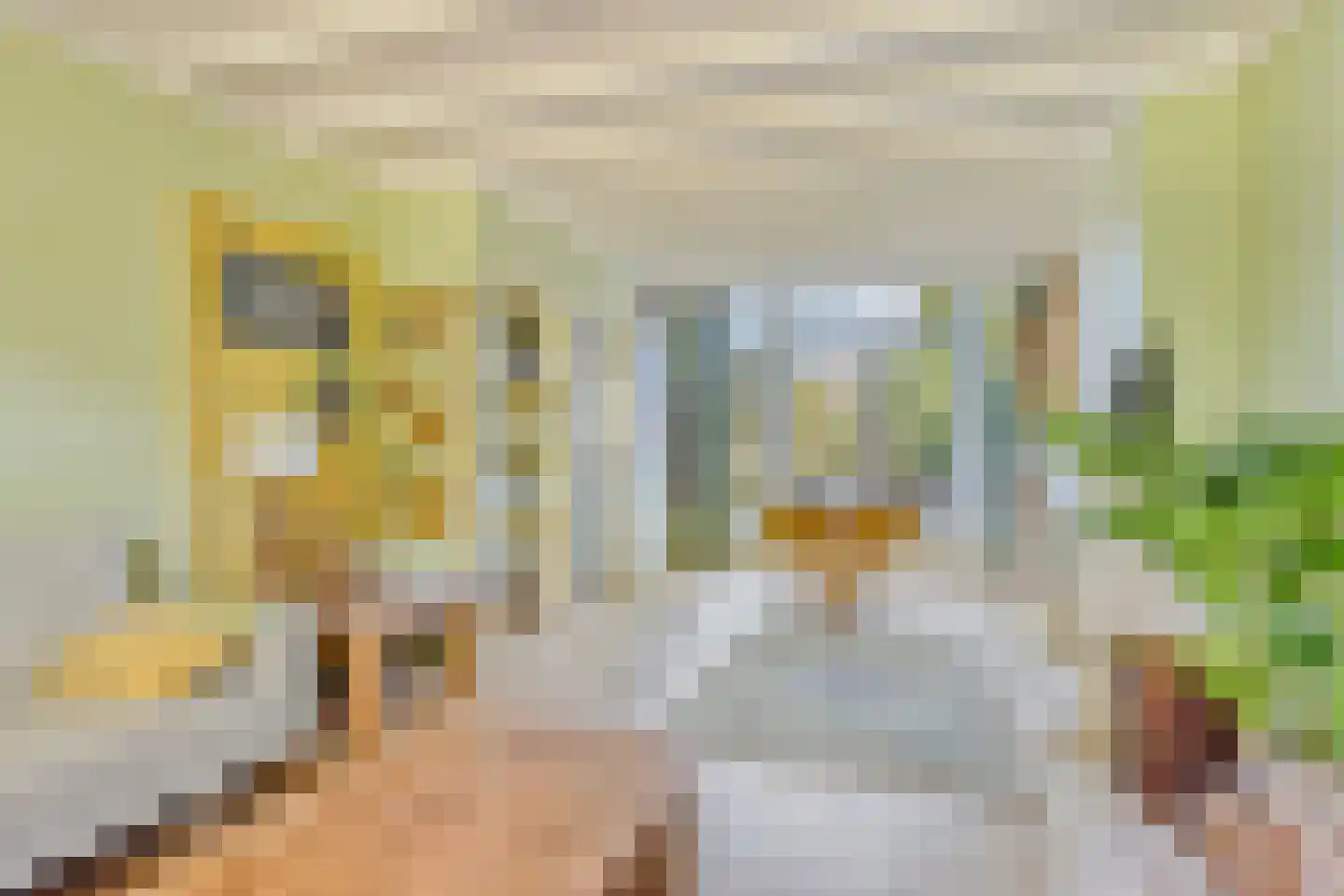 Dalstraat 12 Valkenswaard thumbnail 7