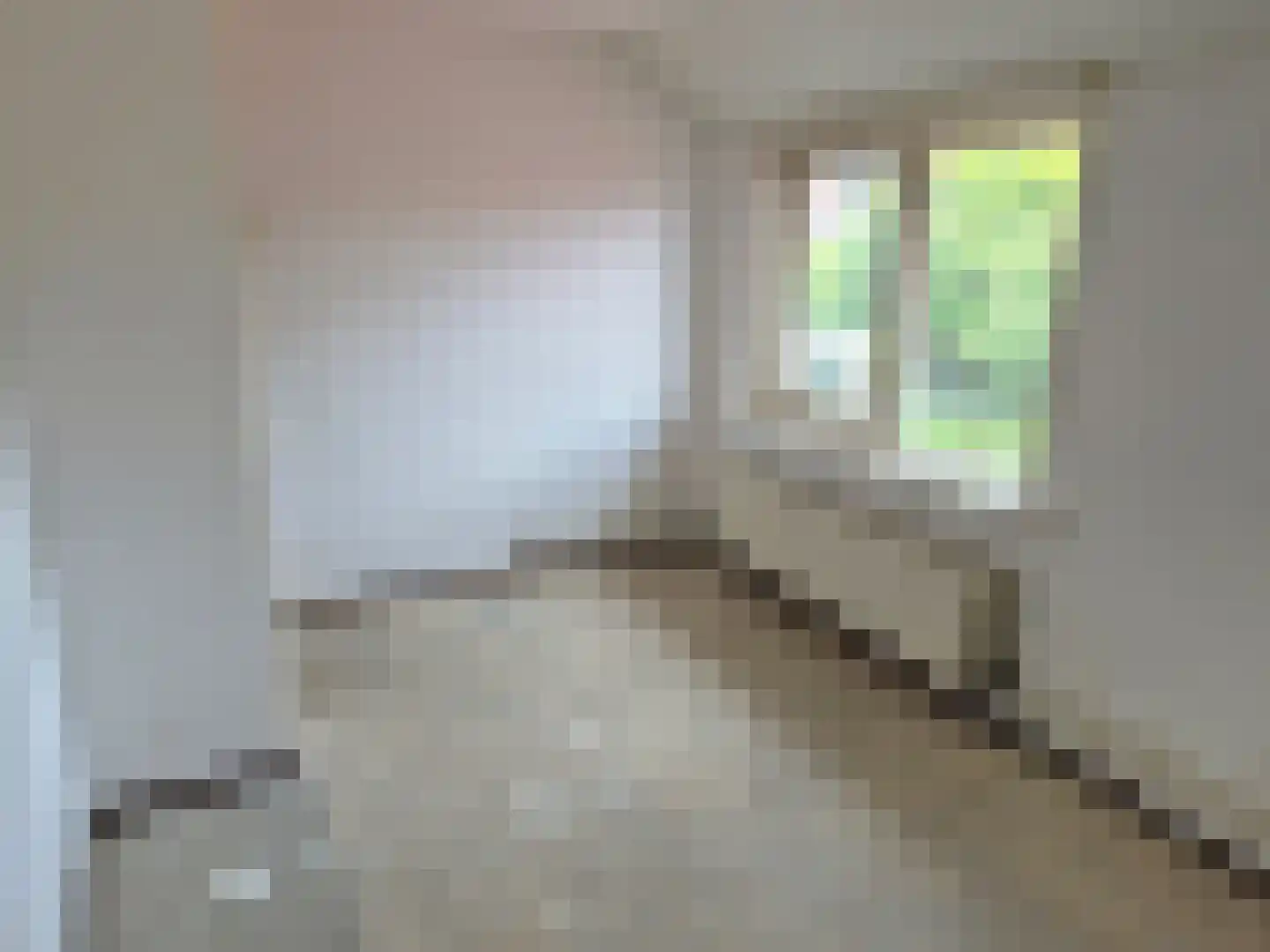 Dalstraat 20 Valkenswaard thumbnail 10