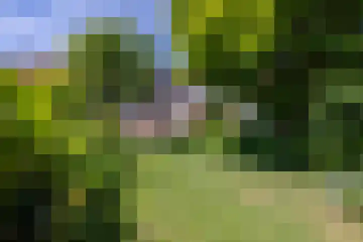 Dalstraat 22 Valkenswaard thumbnail 23