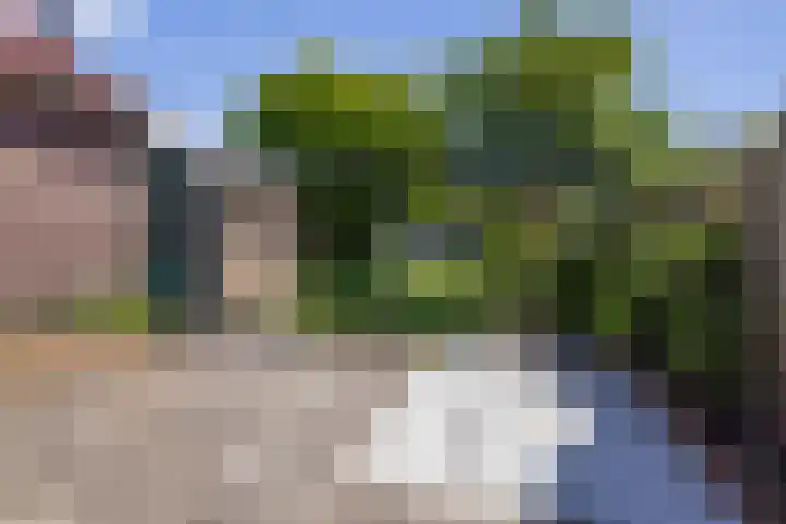 Dalstraat 22 Valkenswaard thumbnail 27