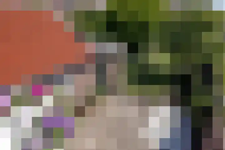 Dalstraat 22 Valkenswaard thumbnail 30