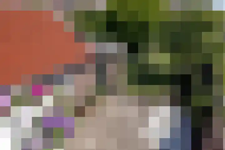 Dalstraat 22 Valkenswaard thumbnail 4