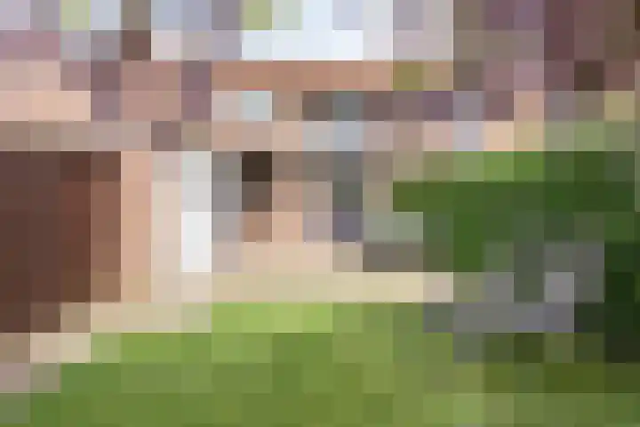 Dalstraat 32 Valkenswaard thumbnail 16