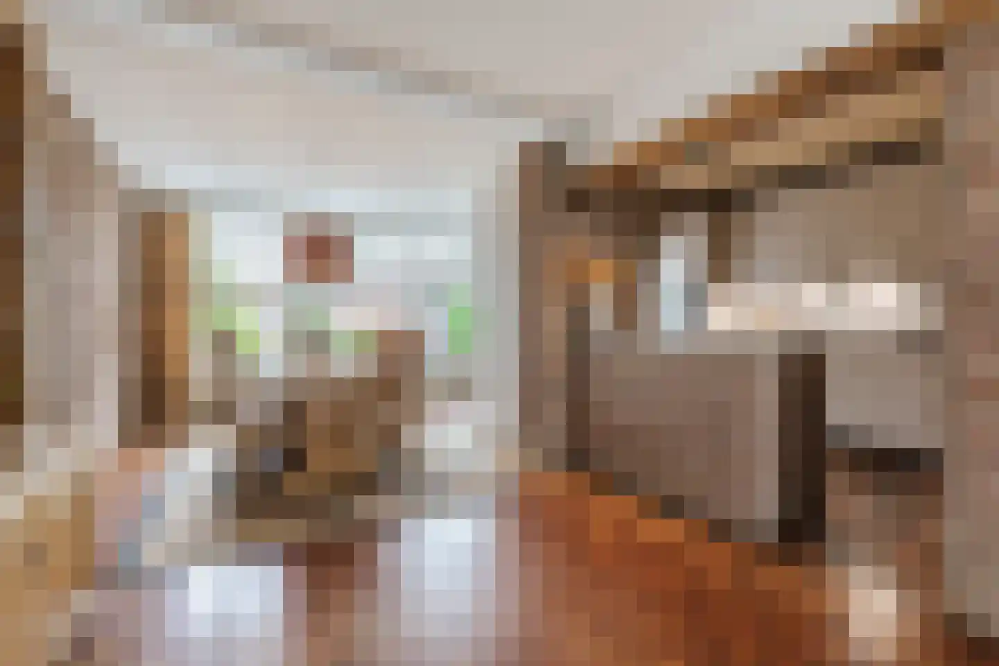 Dalstraat 6 Valkenswaard thumbnail 13