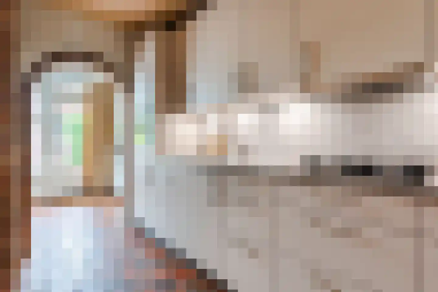 Dalstraat 6 Valkenswaard thumbnail 17