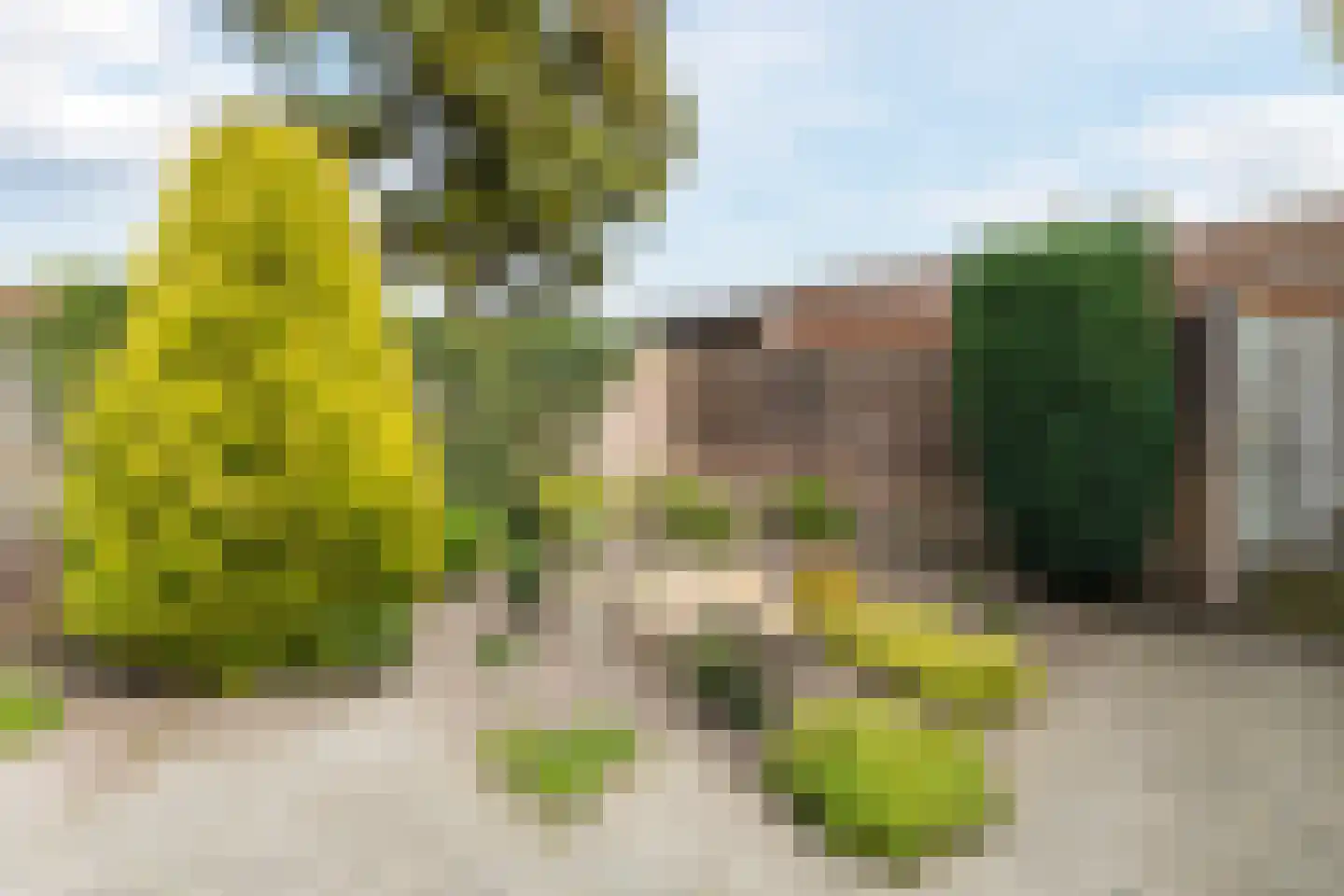Dalstraat 6 Valkenswaard thumbnail 35