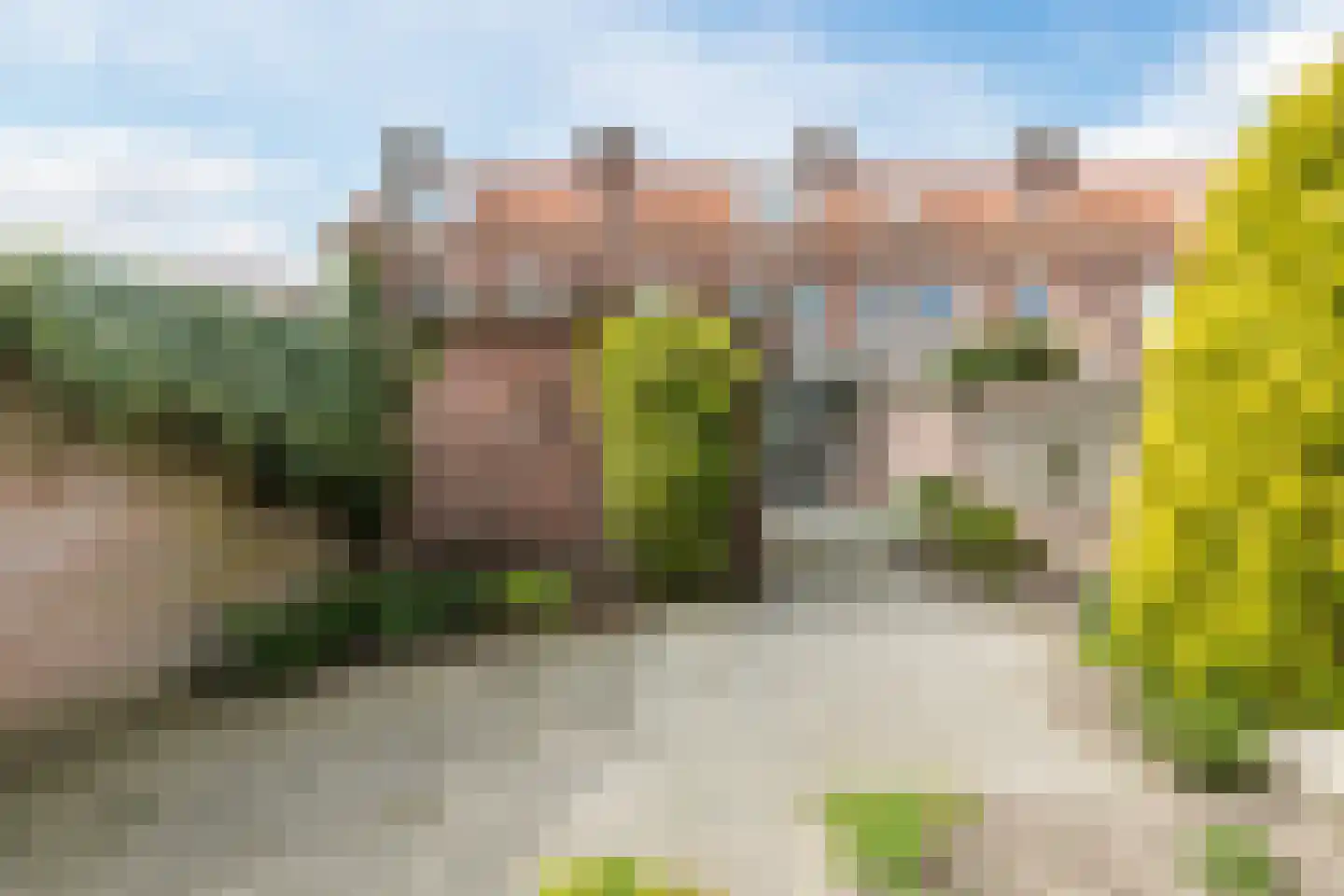 Dalstraat 6 Valkenswaard thumbnail 38