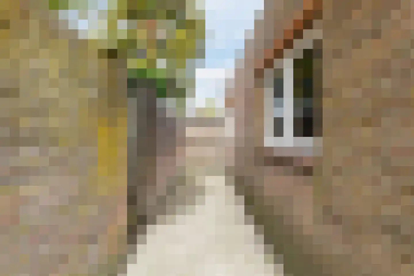 Dalstraat 6 Valkenswaard thumbnail 39