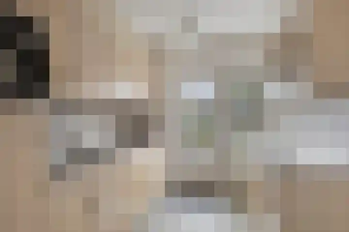 Dalstraat 8 Valkenswaard thumbnail 6
