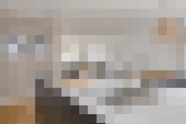 Daltonstraat 21 Heemskerk thumbnail 5