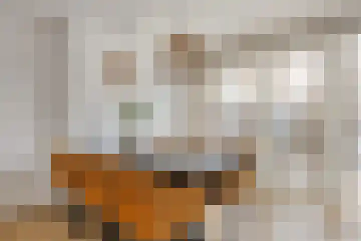 Daltonstraat 21 Heemskerk thumbnail 7