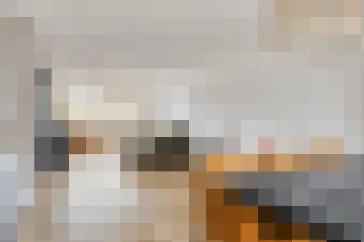 Daltonstraat 21 Heemskerk thumbnail 8