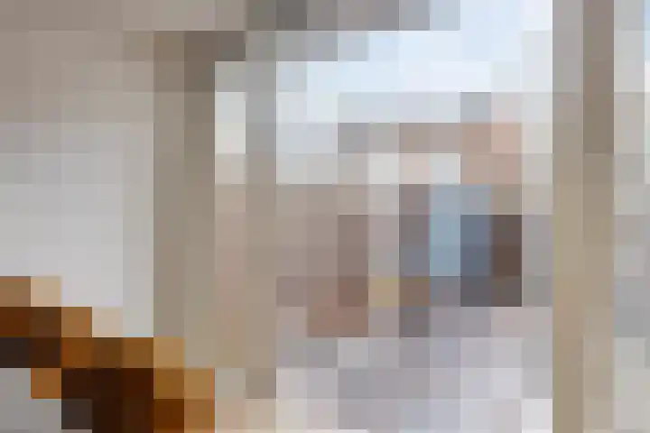 Daltonstraat 21 Heemskerk thumbnail 9
