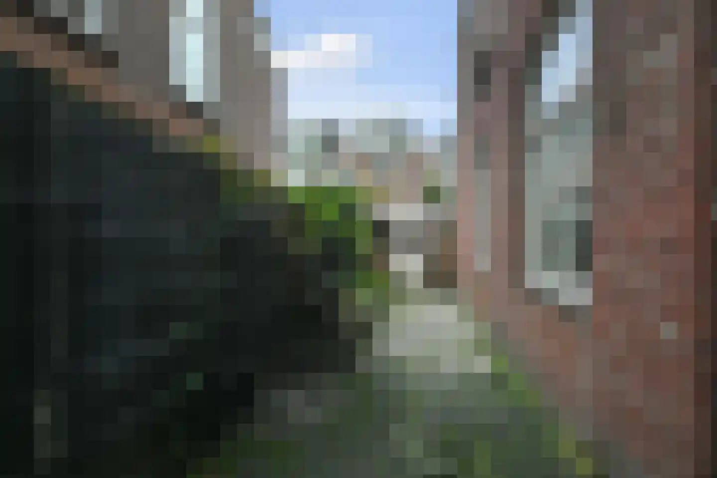Daltonstraat 24 Den Haag thumbnail 12