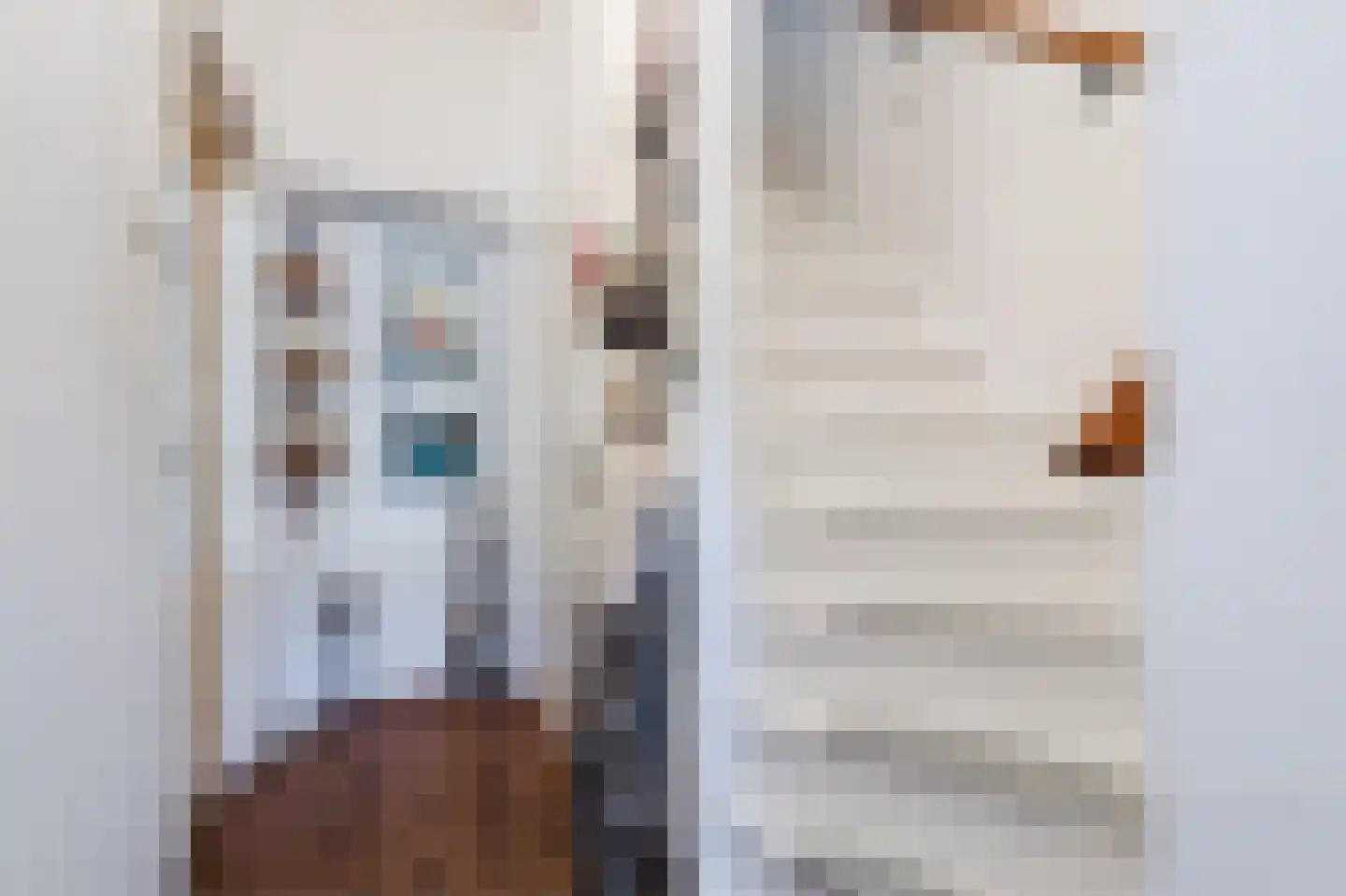 Daltonstraat 3 Hilversum thumbnail 22