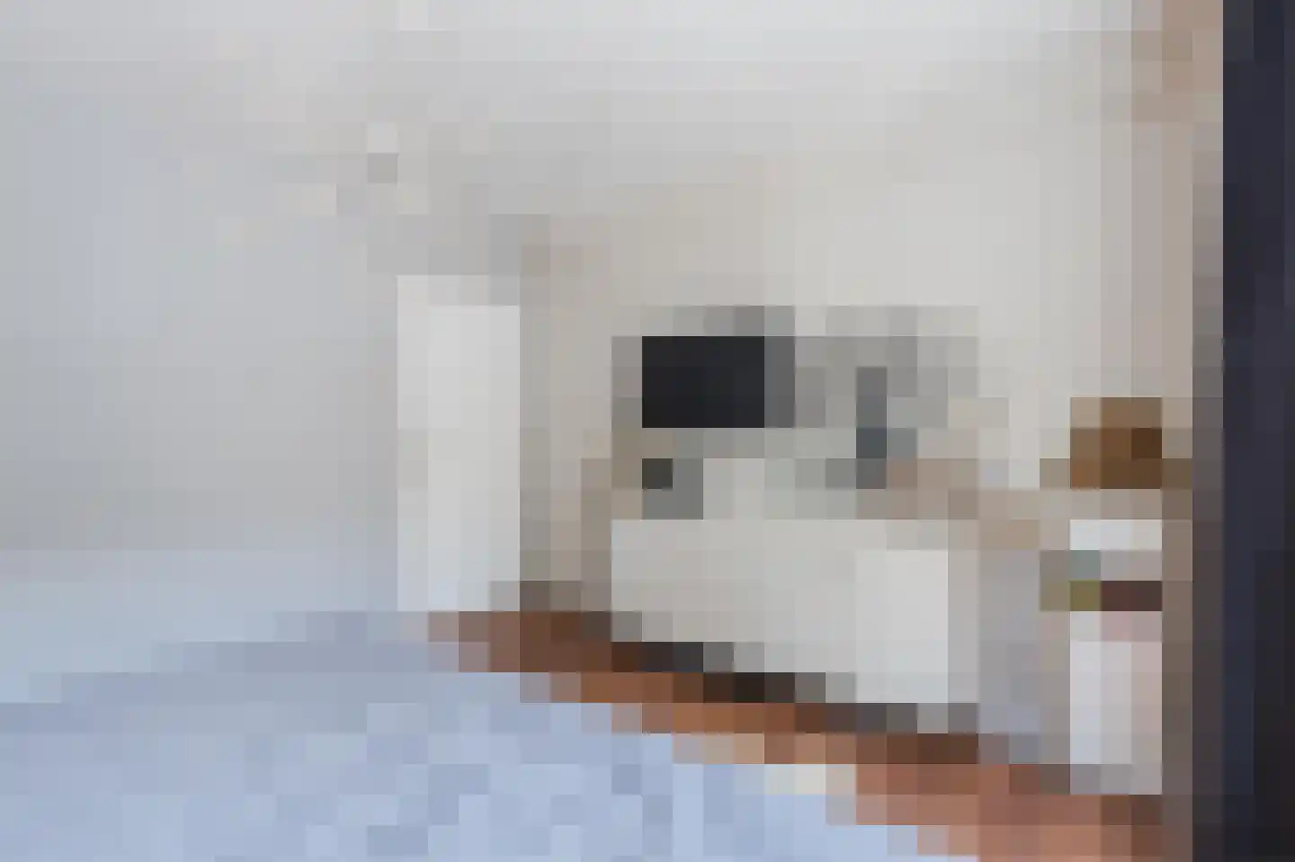 Daltonstraat 3 Hilversum thumbnail 34