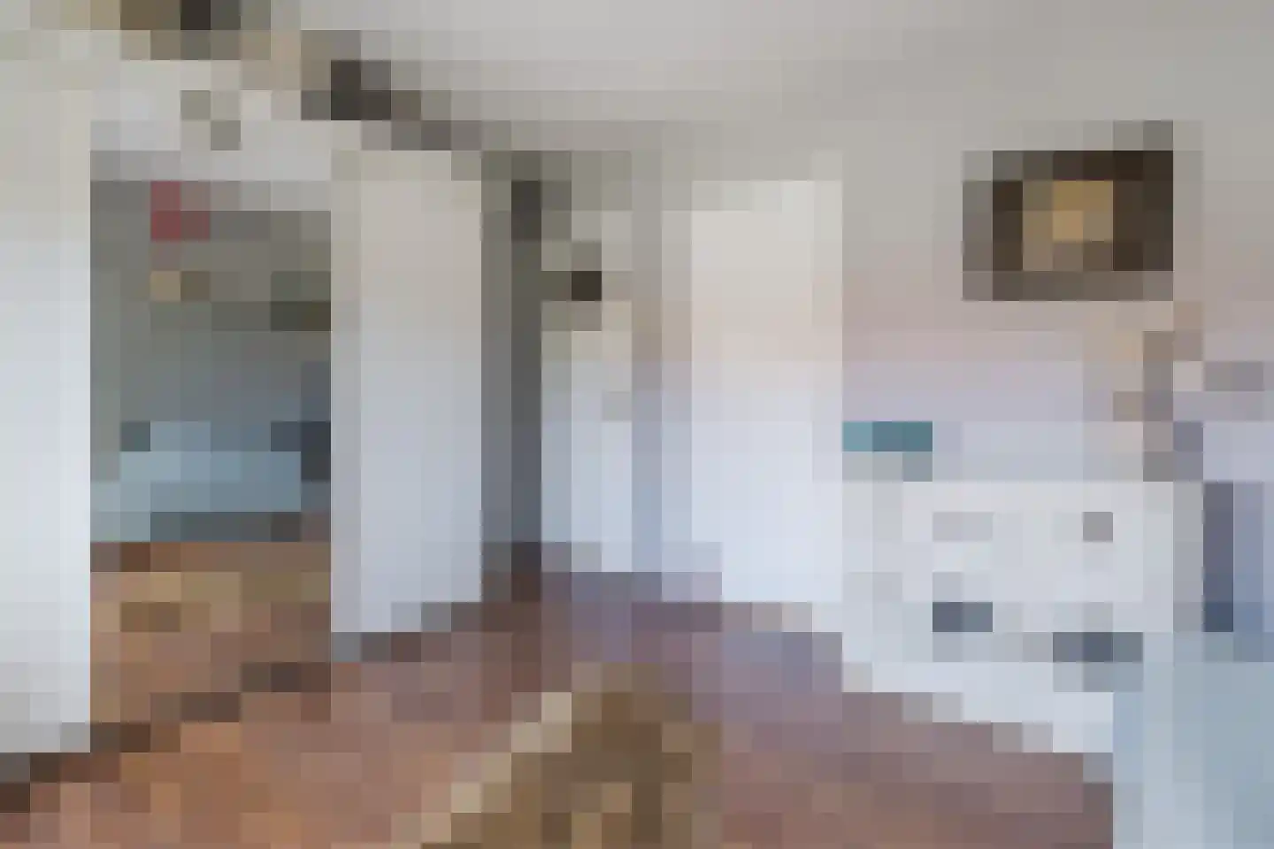 Daltonstraat 3 Hilversum thumbnail 36