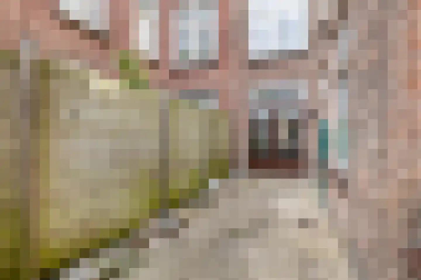 Daltonstraat 46 Den Haag thumbnail 39