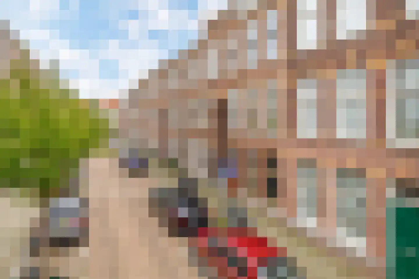 Daltonstraat 46 Den Haag thumbnail 4
