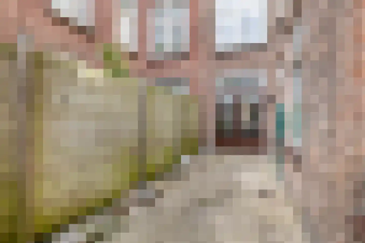 Daltonstraat 46 Den Haag thumbnail 40