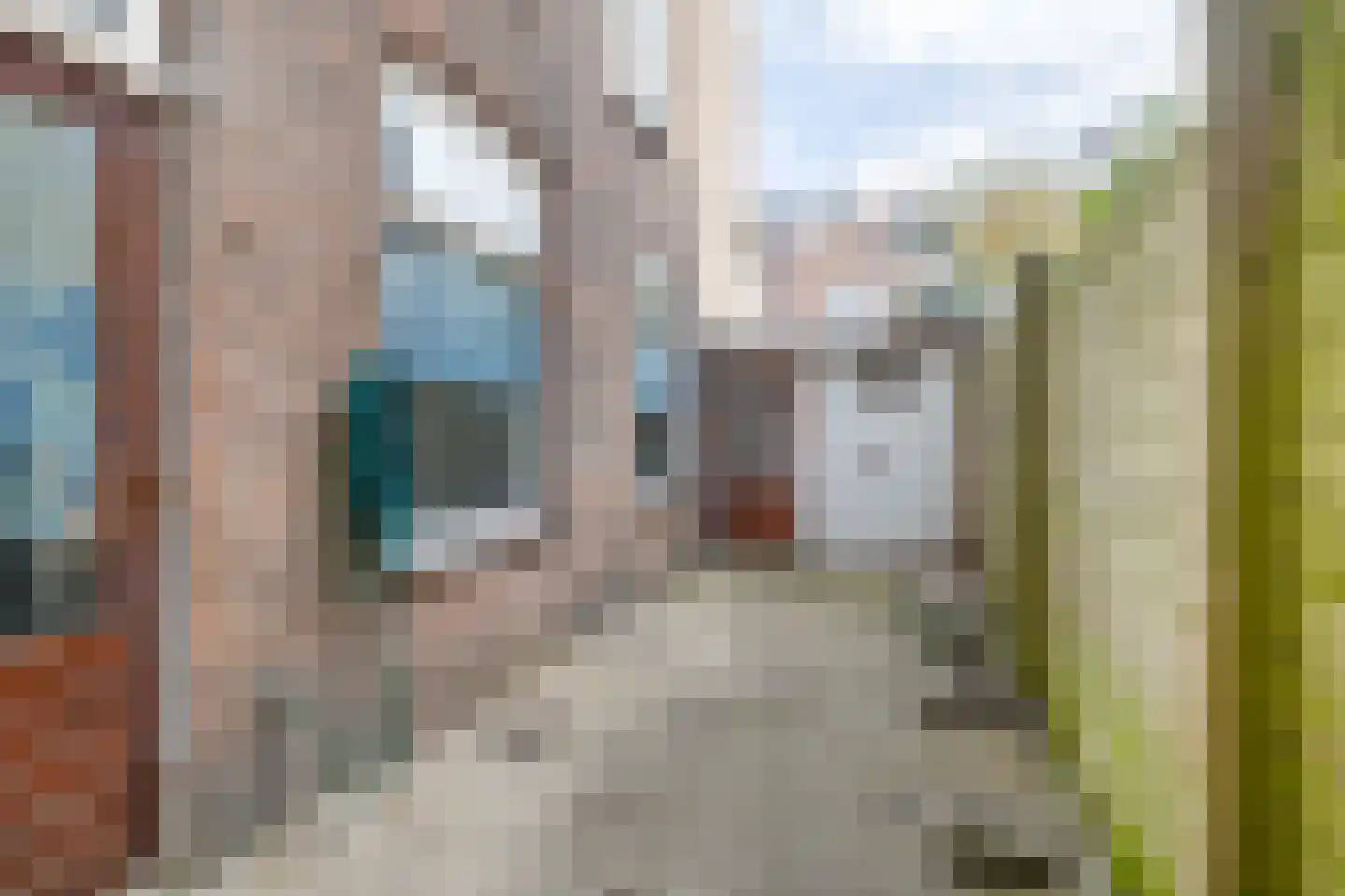 Daltonstraat 46 Den Haag thumbnail 8