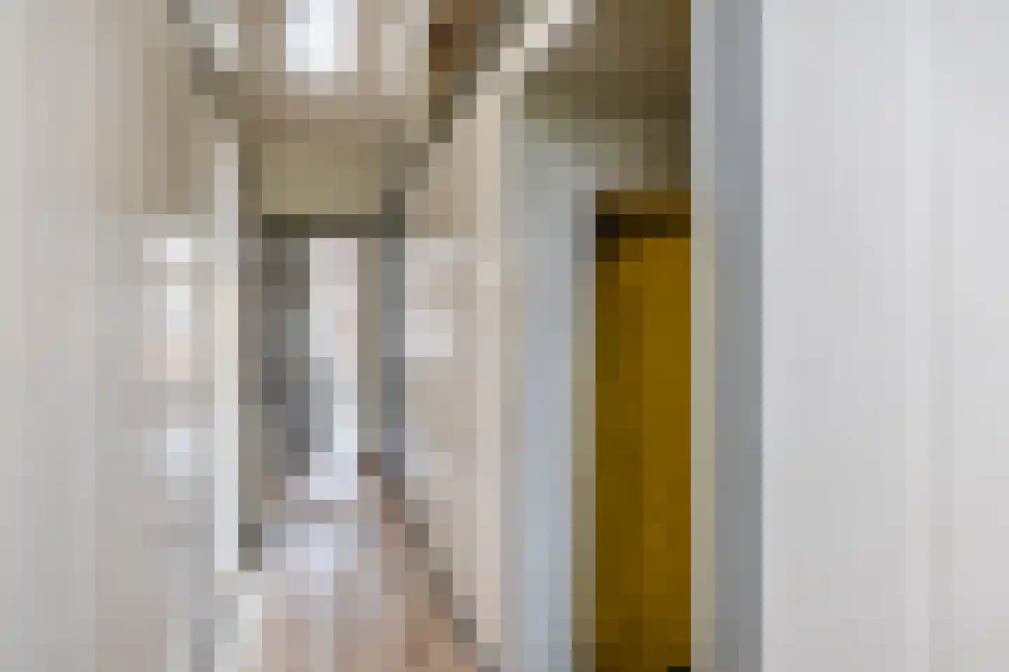 Daltonstraat 49 Den Haag thumbnail 9