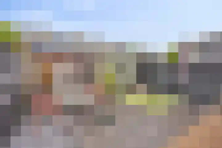 Daltonstraat 5 Heemskerk thumbnail 32