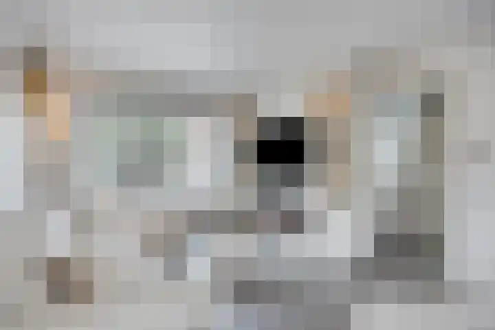 Daltonstraat 5 Heemskerk thumbnail 4