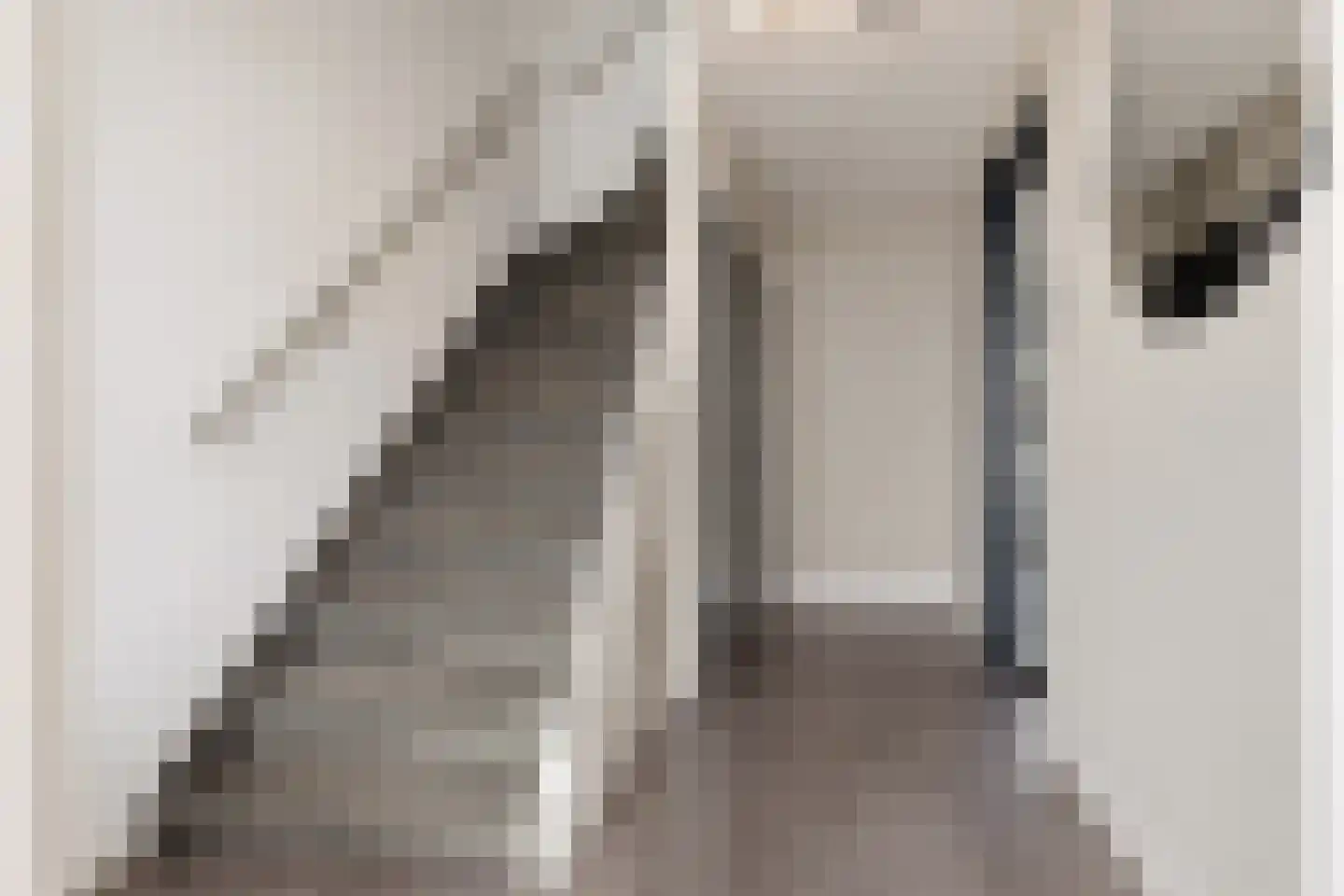 Daltonstraat 5 Heemskerk thumbnail 4
